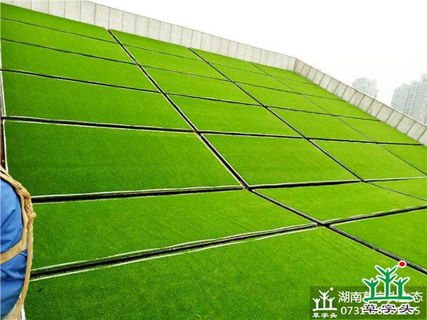湘潭市博物館與規(guī)劃館，屋頂人造草皮綠化施工案例